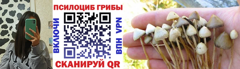 Псилоцибиновые грибы Magic Shrooms  Тавда 