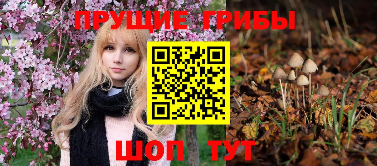 Галлюциногенные грибы мухоморы Тавда